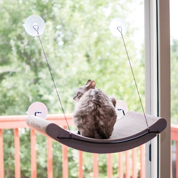 Things to Keep Your Cat Occupied While You Work From Home